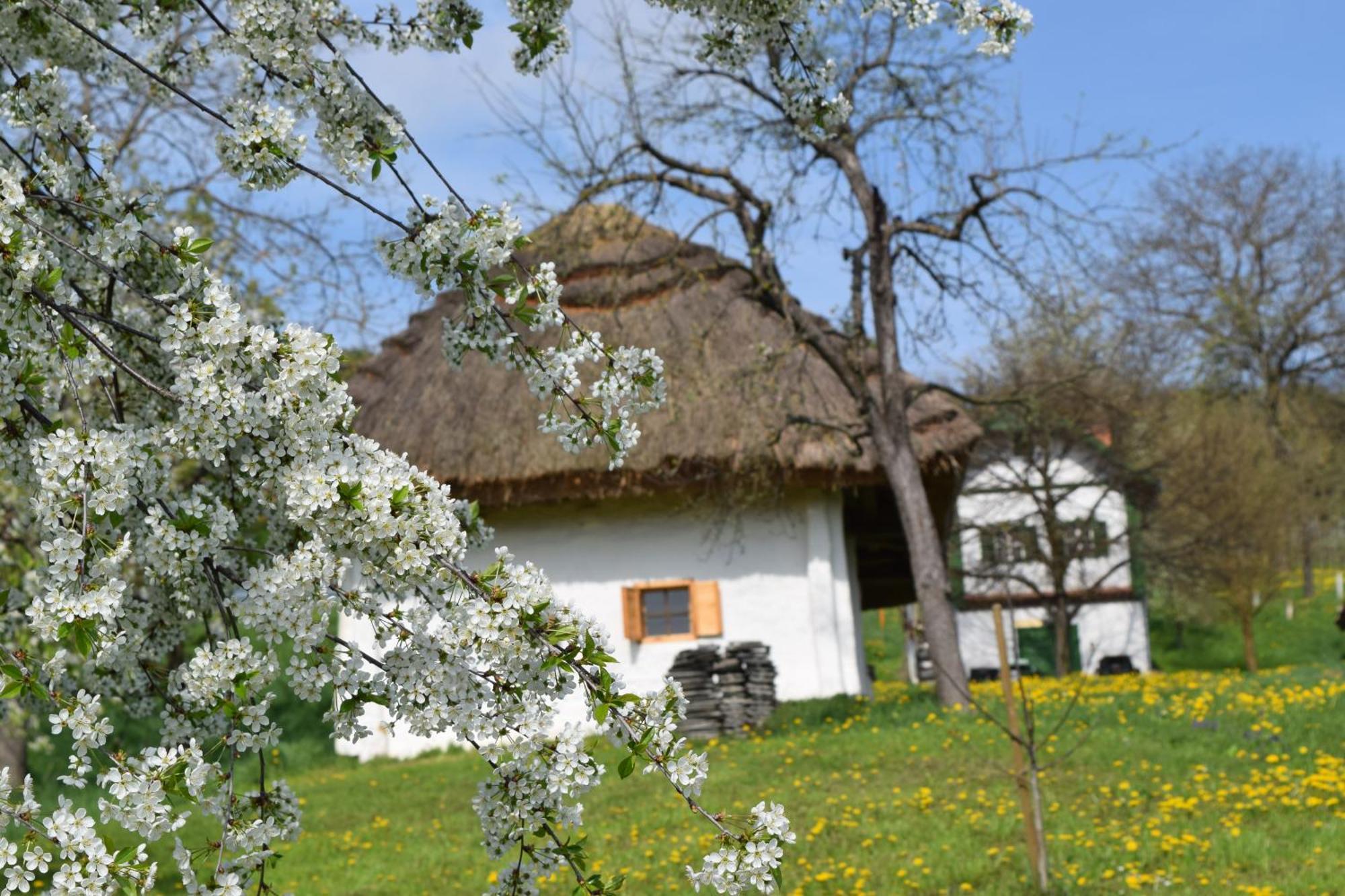 Genussgasthof & Hotel Beim Krutzler Heiligenbrunn Exteriér fotografie